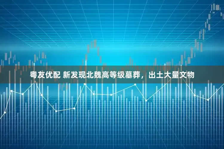 粤友优配 新发现北魏高等级墓葬，出土大量文物