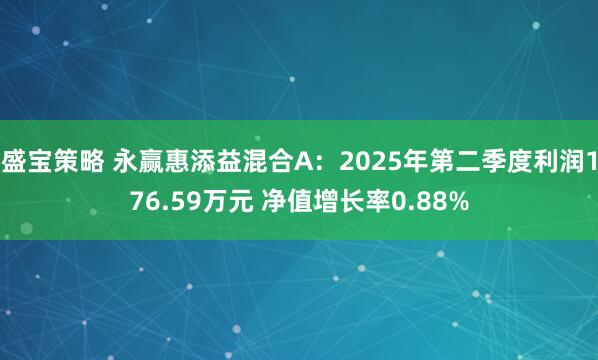 盛宝策略 永赢惠添益混合A：2025年第二季度利润176.59万元 净值增长率0.88%