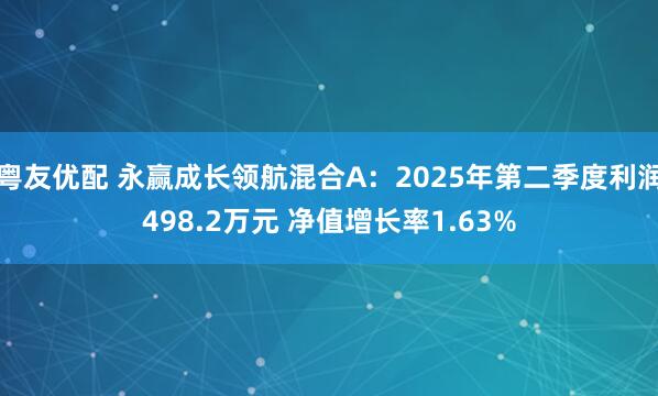 粤友优配 永赢成长领航混合A：2025年第二季度利润498.2万元 净值增长率1.63%