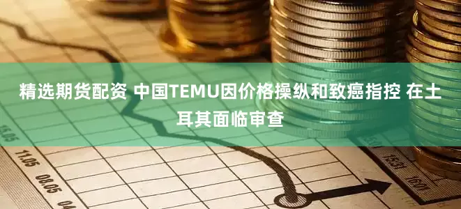 精选期货配资 中国TEMU因价格操纵和致癌指控 在土耳其面临审查